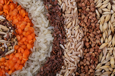 trứng mọt trong gạo - hun trùng hữu cơ - bảo quản hữu cơ - organic fumigation