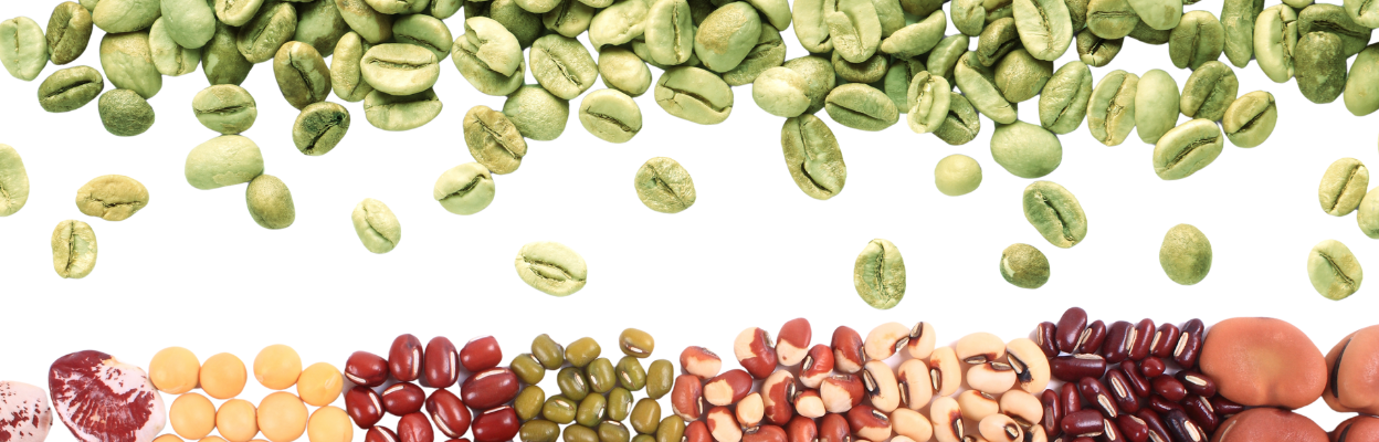 hun trùng hữu cơ - bảo quản hữu cơ - organic fumigation 31