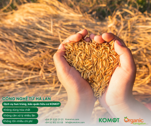 KHI NÀO DOANH NGHIỆP NÊN CHUYỂN SANG HUN TRÙNG HỮU CƠ?