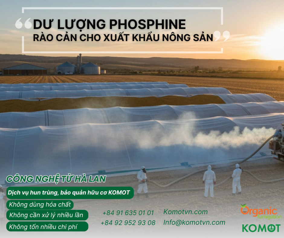 Phosphine dư lượng vượt ngưỡng có thể khiến lô hàng bị trả về. Giải pháp nào giúp doanh nghiệp xuất khẩu an toàn và bền vững?