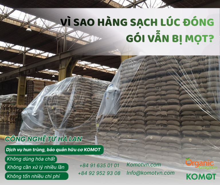 Hàng nông sản sạch lúc đóng gói vẫn bị mọt do trứng mọt và rủi ro dư lượng hóa chất