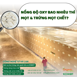 Mọt và côn trùng kho có thể phát triển trong gạo, cà phê, hồ tiêu, điều và nhiều loại nông sản khô nếu điều kiện bảo quản không được kiểm soát tốt.