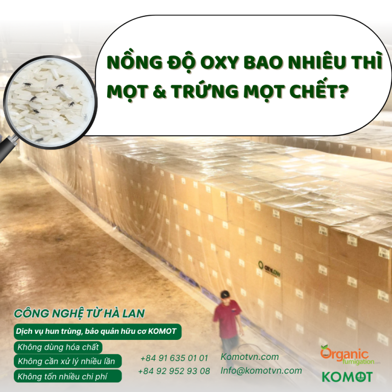 Mọt và côn trùng kho có thể phát triển trong gạo, cà phê, hồ tiêu, điều và nhiều loại nông sản khô nếu điều kiện bảo quản không được kiểm soát tốt.
