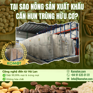 Hun trùng hữu cơ cho nông sản xuất khẩu bằng công nghệ OxyLow